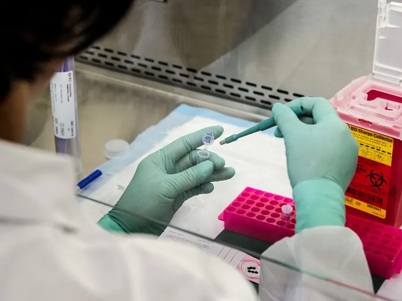 Laboratory worker handling samples with gloved hands.